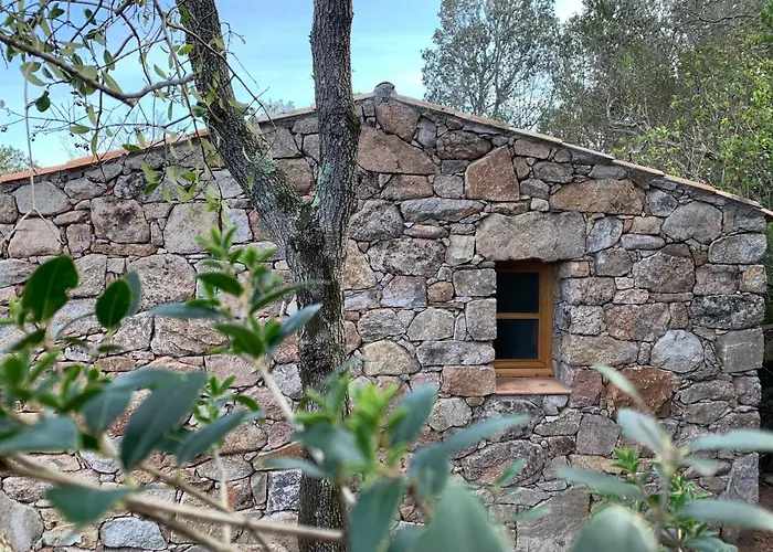 Alzitedda Hotel Porto-Vecchio 