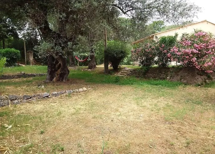 Petit Coin Du Paradis A Proximite Des Plages Ajaccio 