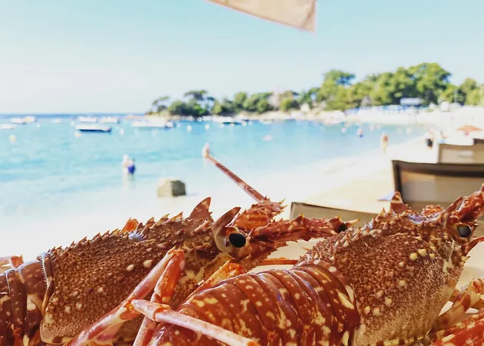 Ajaccio (Corsica) 4 Star Hotels