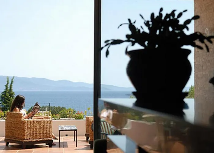 Ajaccio (Corsica) Cheap Pet friendly Hotels