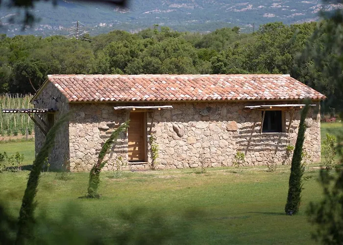 Figari (Corsica) Hotels