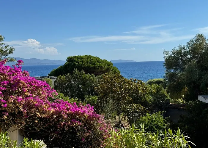 Ajaccio Appartement 4 Couchages, Climatise A 150M De La Plage Route Des Sanguinaires, Parking Prive