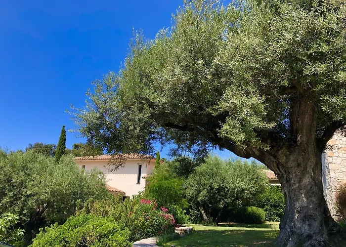 Bonifacio (Corsica) Bed & Breakfasts 