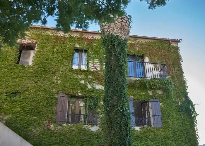 Calvi (Corsica) Luxury Villas